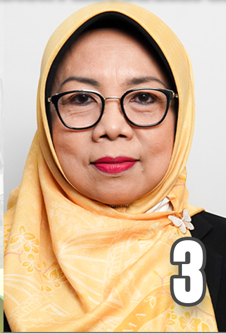 Prof. Dr. Dra. Ec. Dwi Suhartini, M.Aks., CMA.